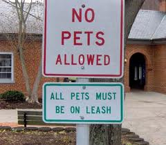 no pets
